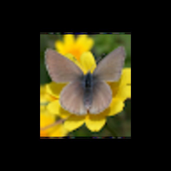 Meet your Posher, Atown - Picture 1 of 1